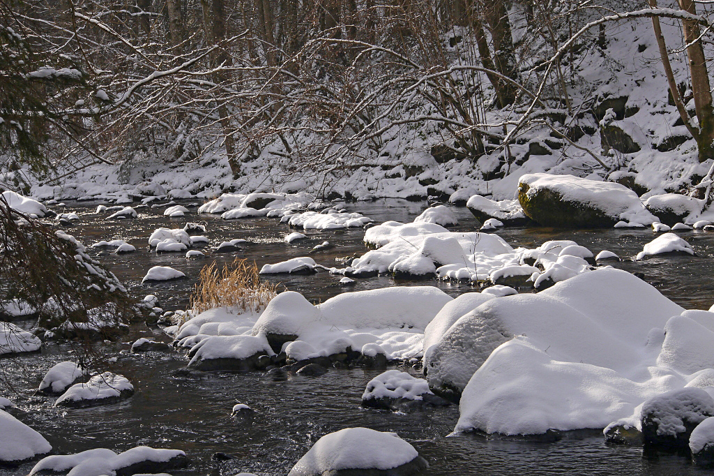 Winter an der Rodl