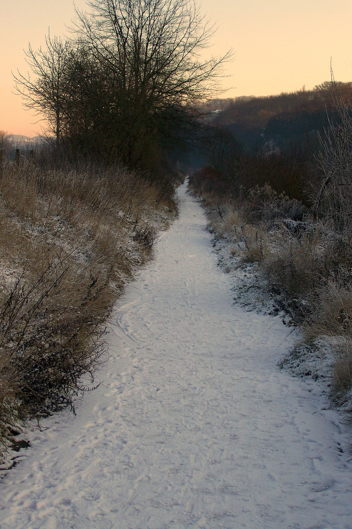 Winter an der Ruhe