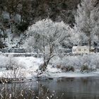 Winter an der Ruhe