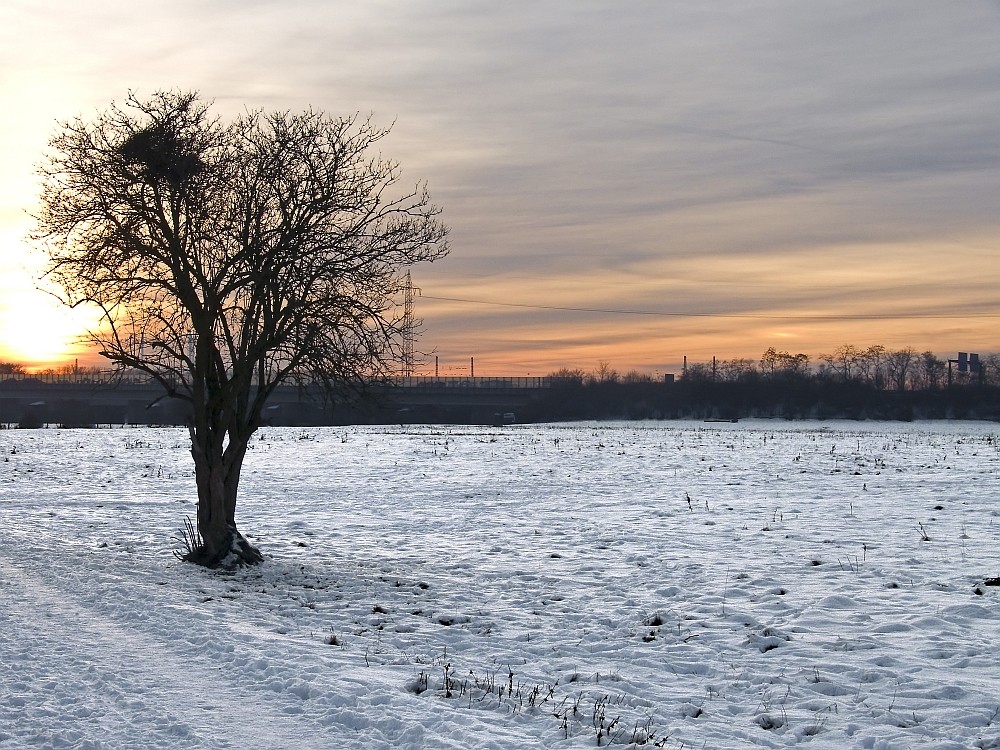 Winter an der Ruhr