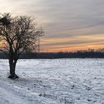 Winter an der Ruhr