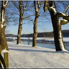 ******* Winter an der Ruhr *******