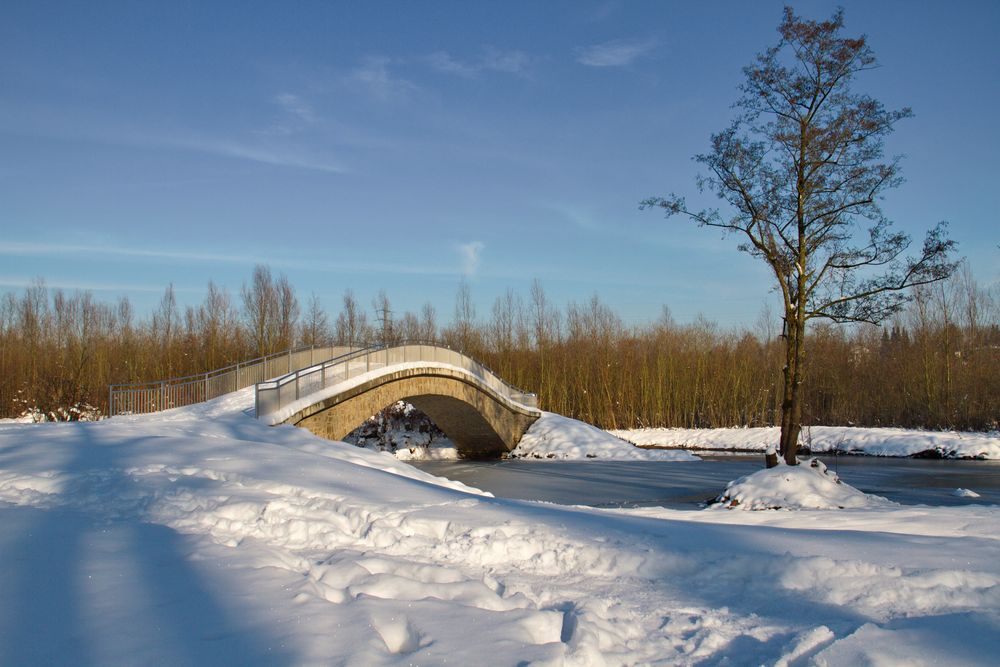 Winter an der Ruhr Nr.3