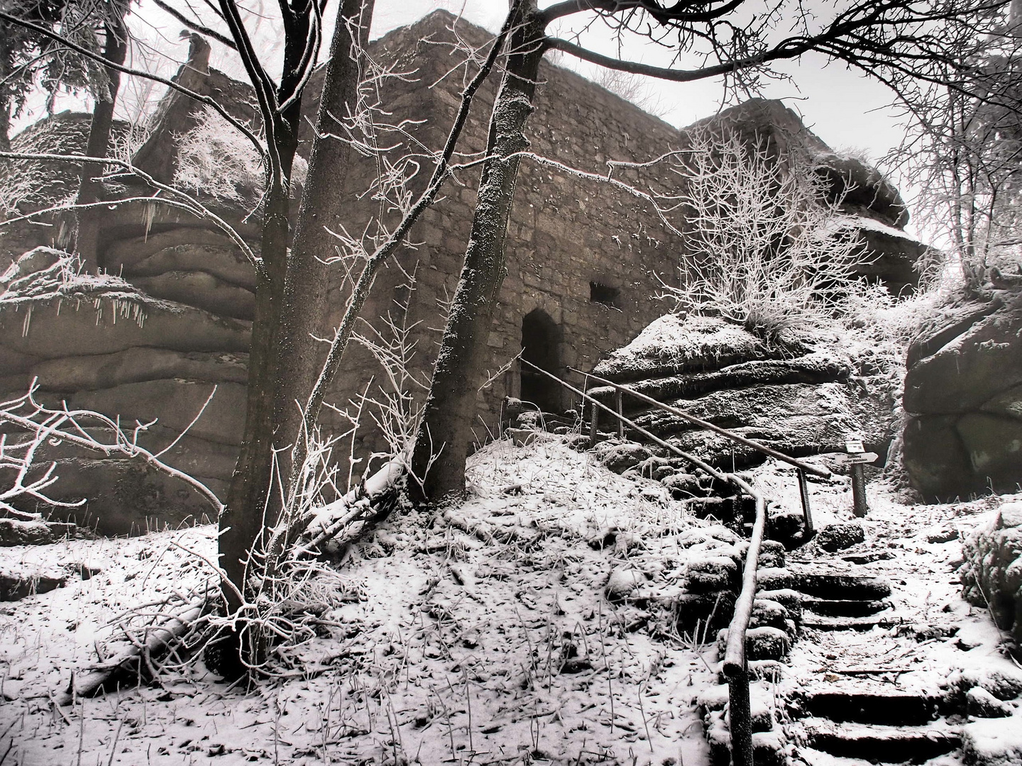 Winter an der Ruine des Roten Schlosses