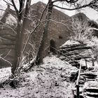 Winter an der Ruine des Roten Schlosses