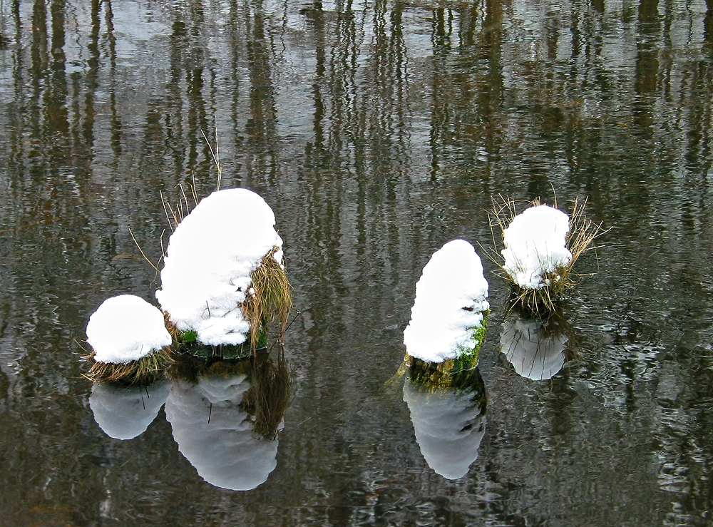 Winter an der Saale...