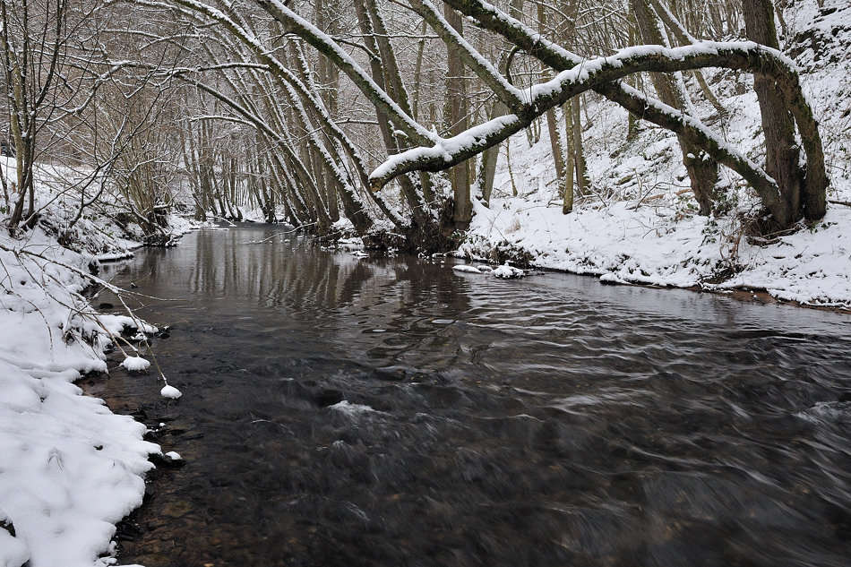 *Winter an der Salm*