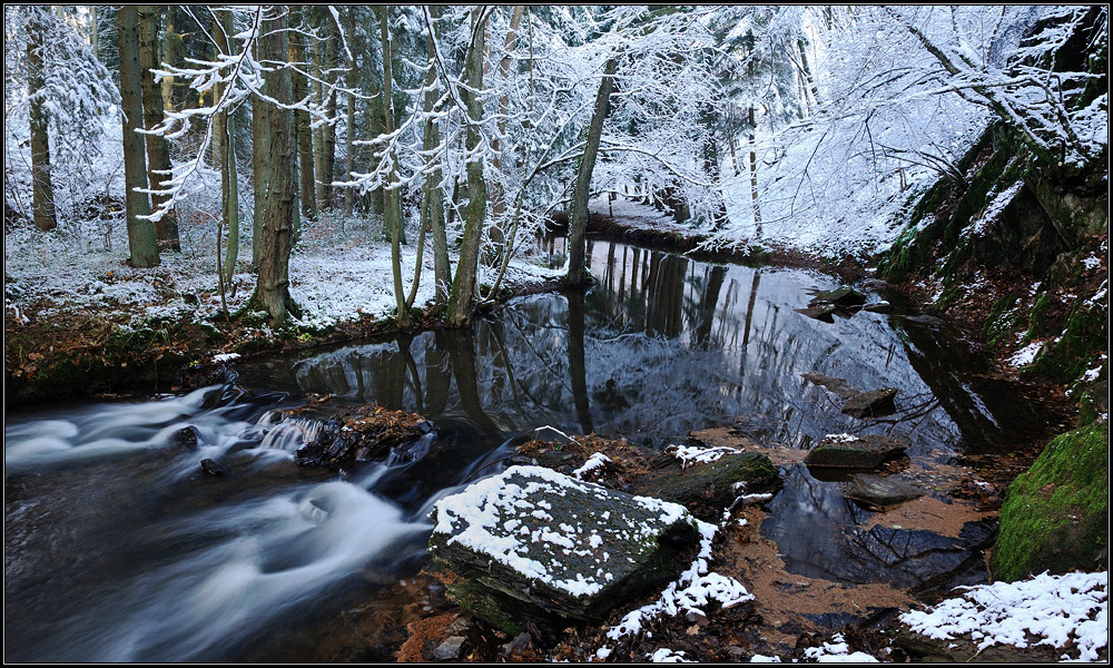 *Winter an der Salm*