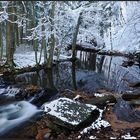 *Winter an der Salm*