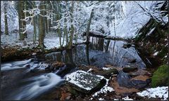 *Winter an der Salm*