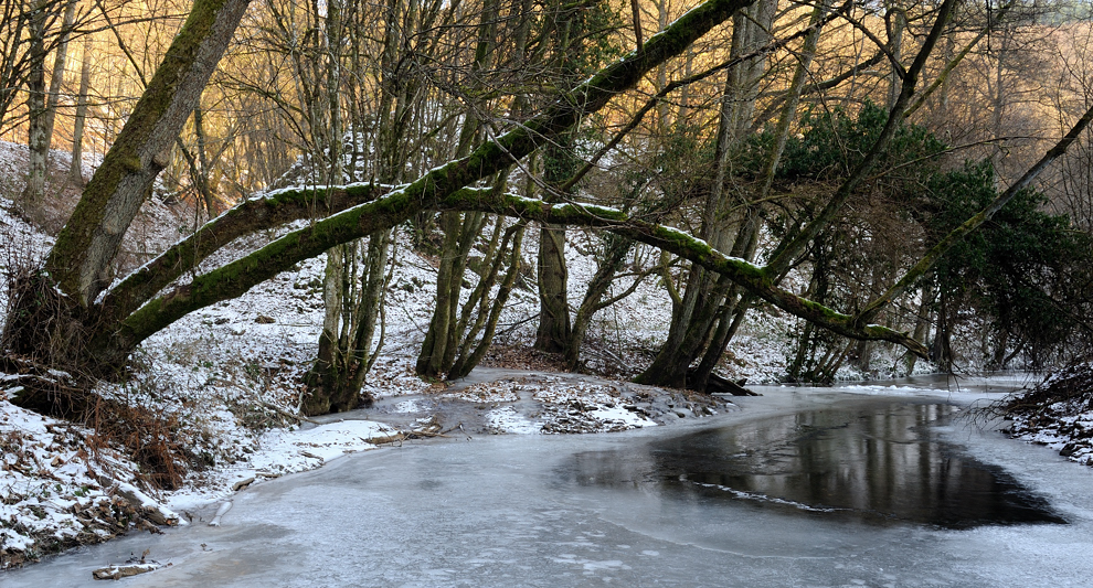 *Winter an der Salm II*