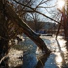 Winter an der Salzböde