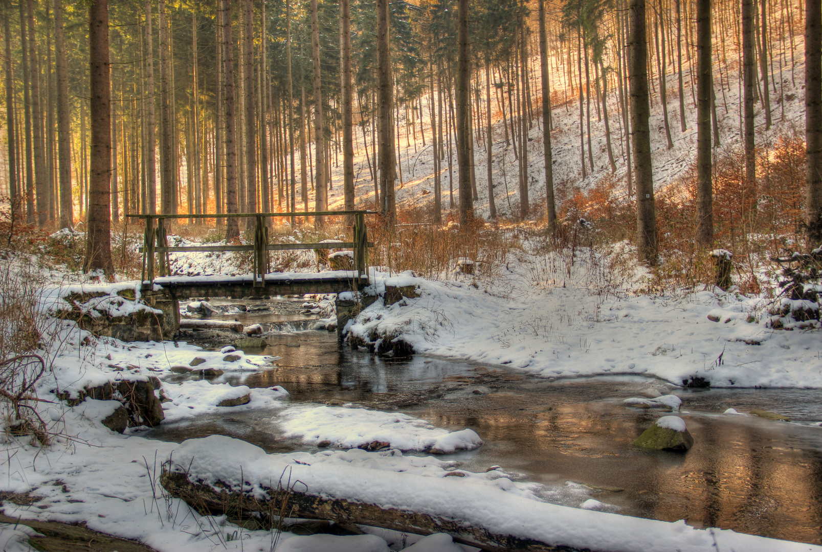 ~ Winter an der Schildau ~