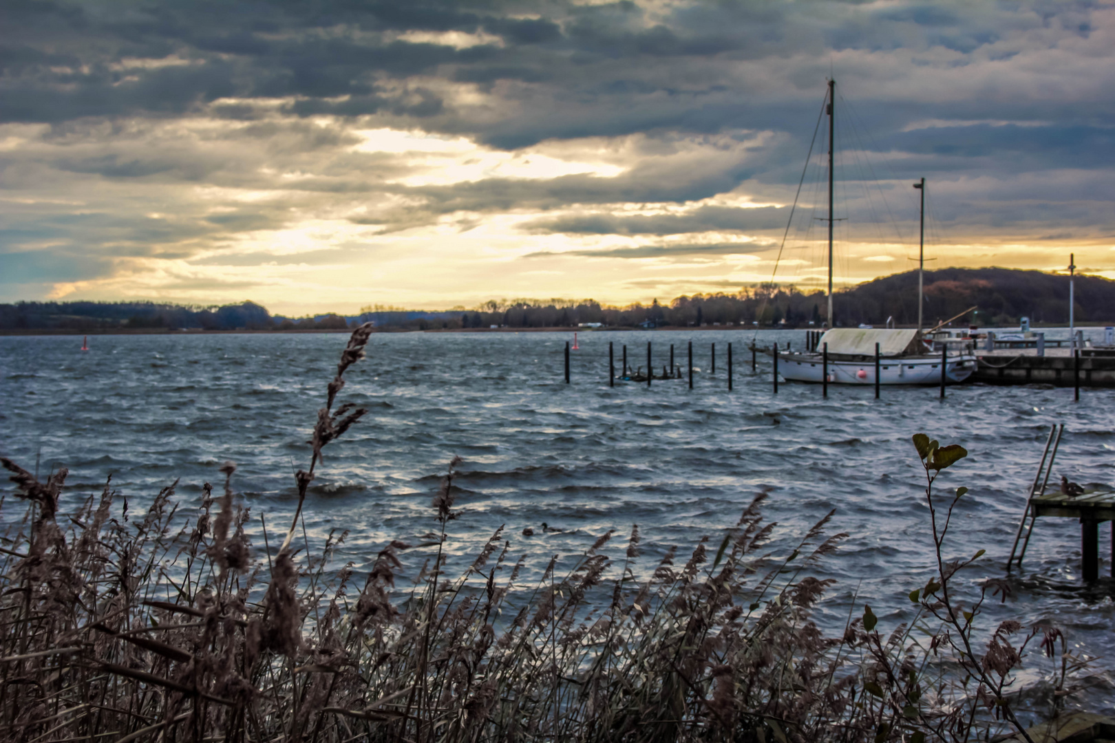 Winter an der Schlei