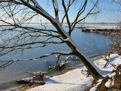 Winter an der Schlei - Foto Nr. 2