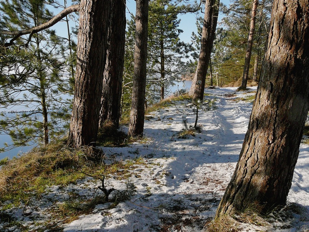 Winter an der Schlei - Foto Nr. 3