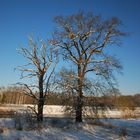 Winter an der Schwarzen Elster