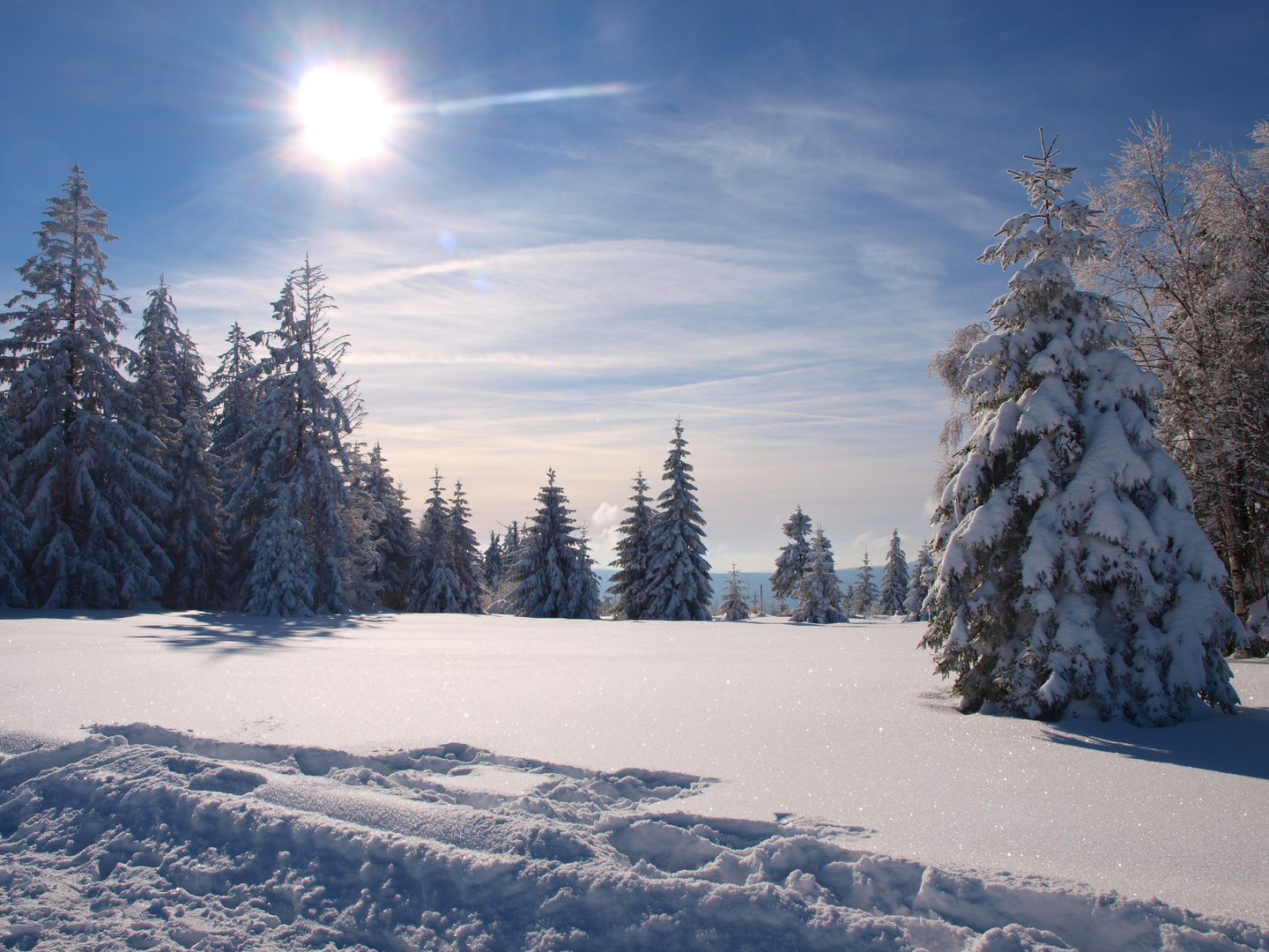 Winter an der Schwarzwaldhochstraße 2