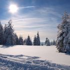 Winter an der Schwarzwaldhochstraße 2