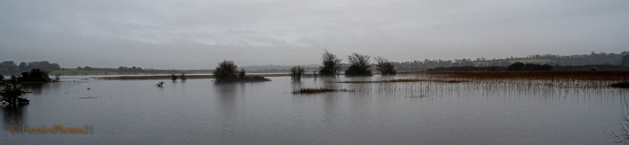 Winter an der Shannon