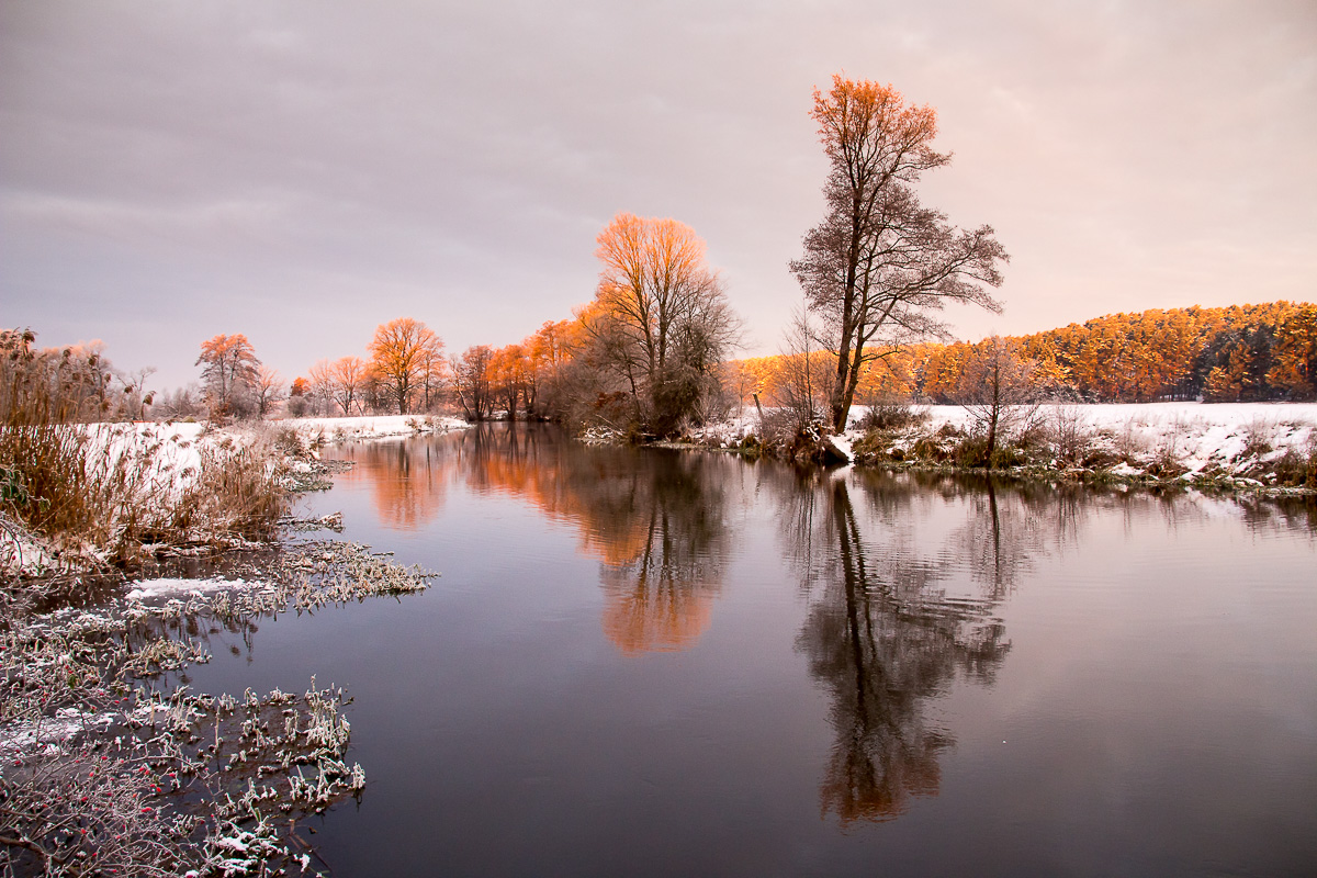 Winter an der Spree