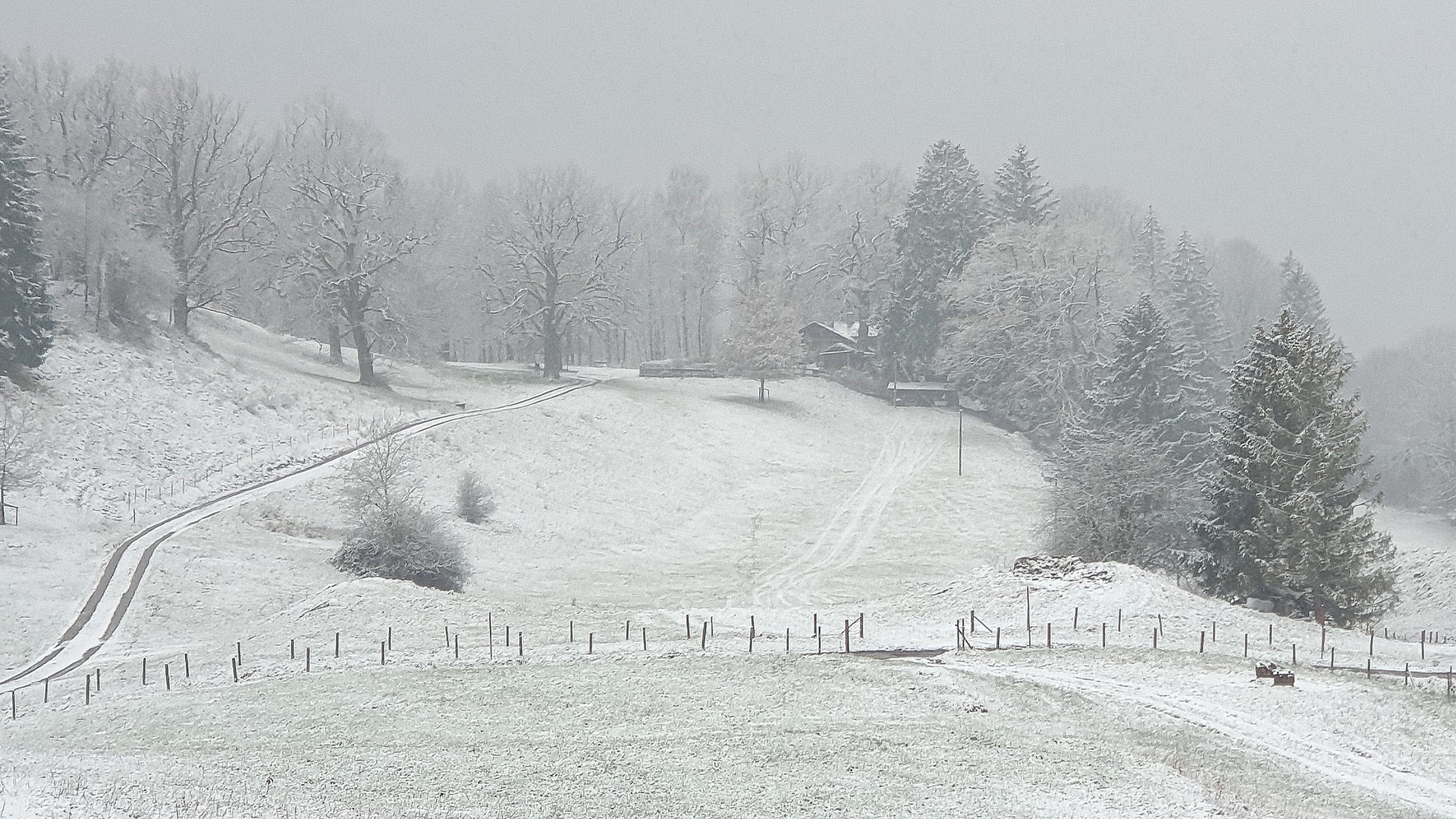 Winter an der Stadtalpe