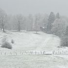 Winter an der Stadtalpe