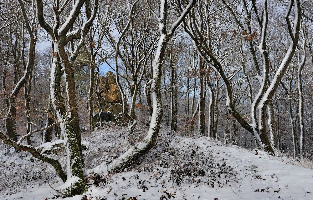 *Winter an der Teufelsley*