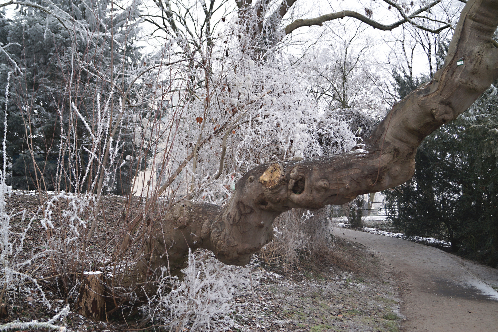 Winter an der Trave