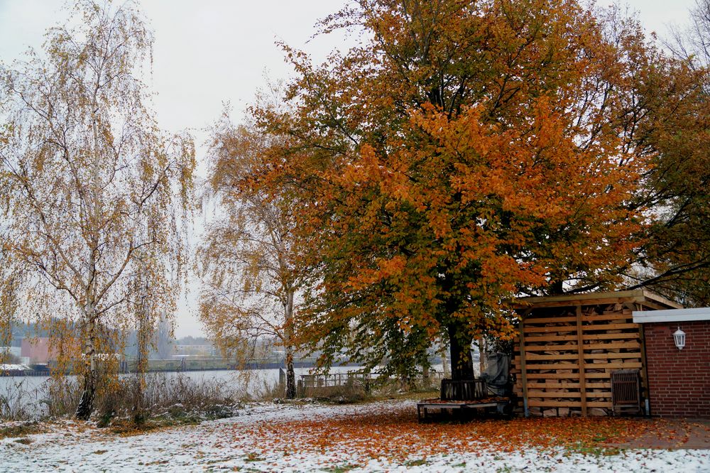 Winter an der Trave