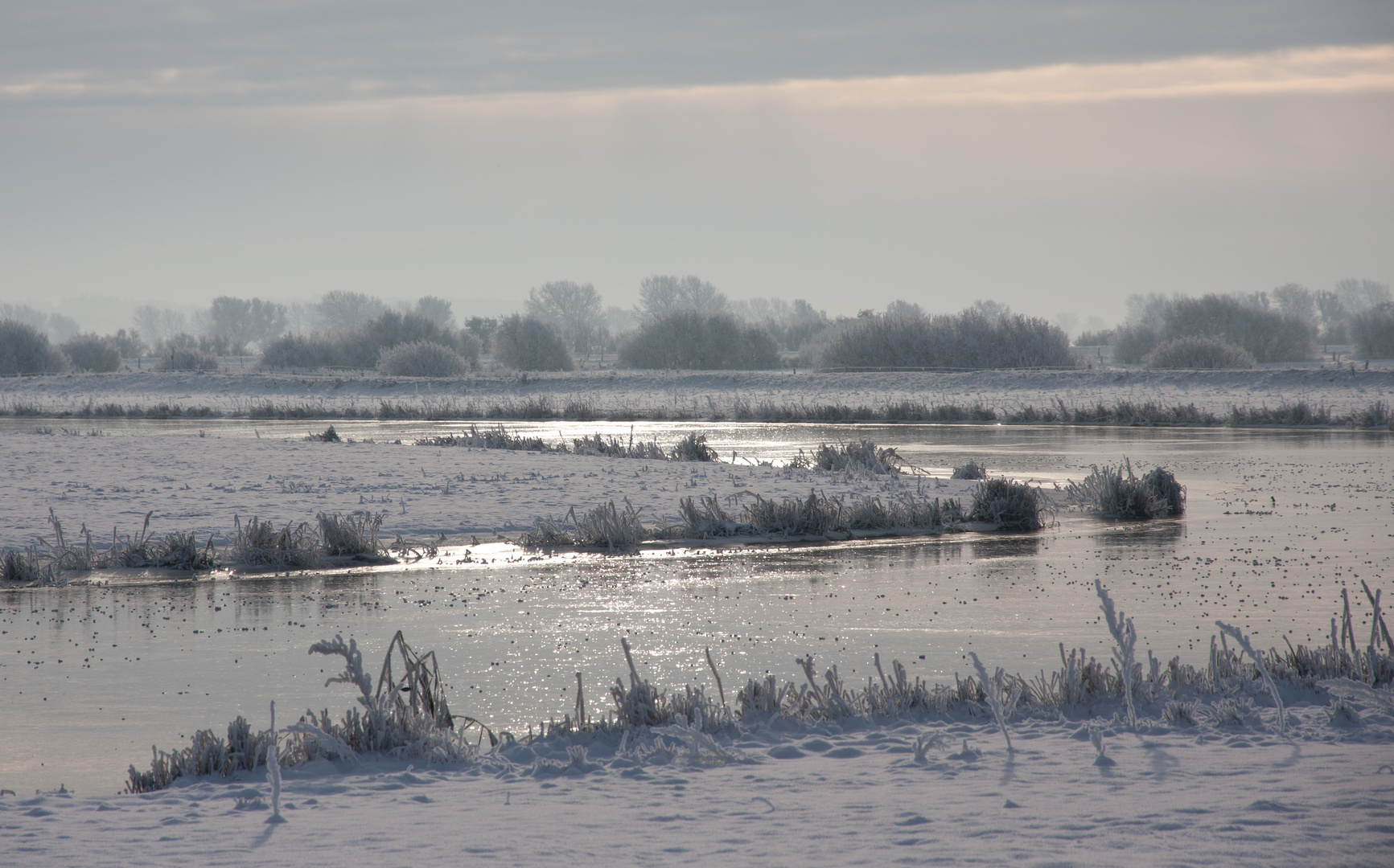 Winter an der Treene