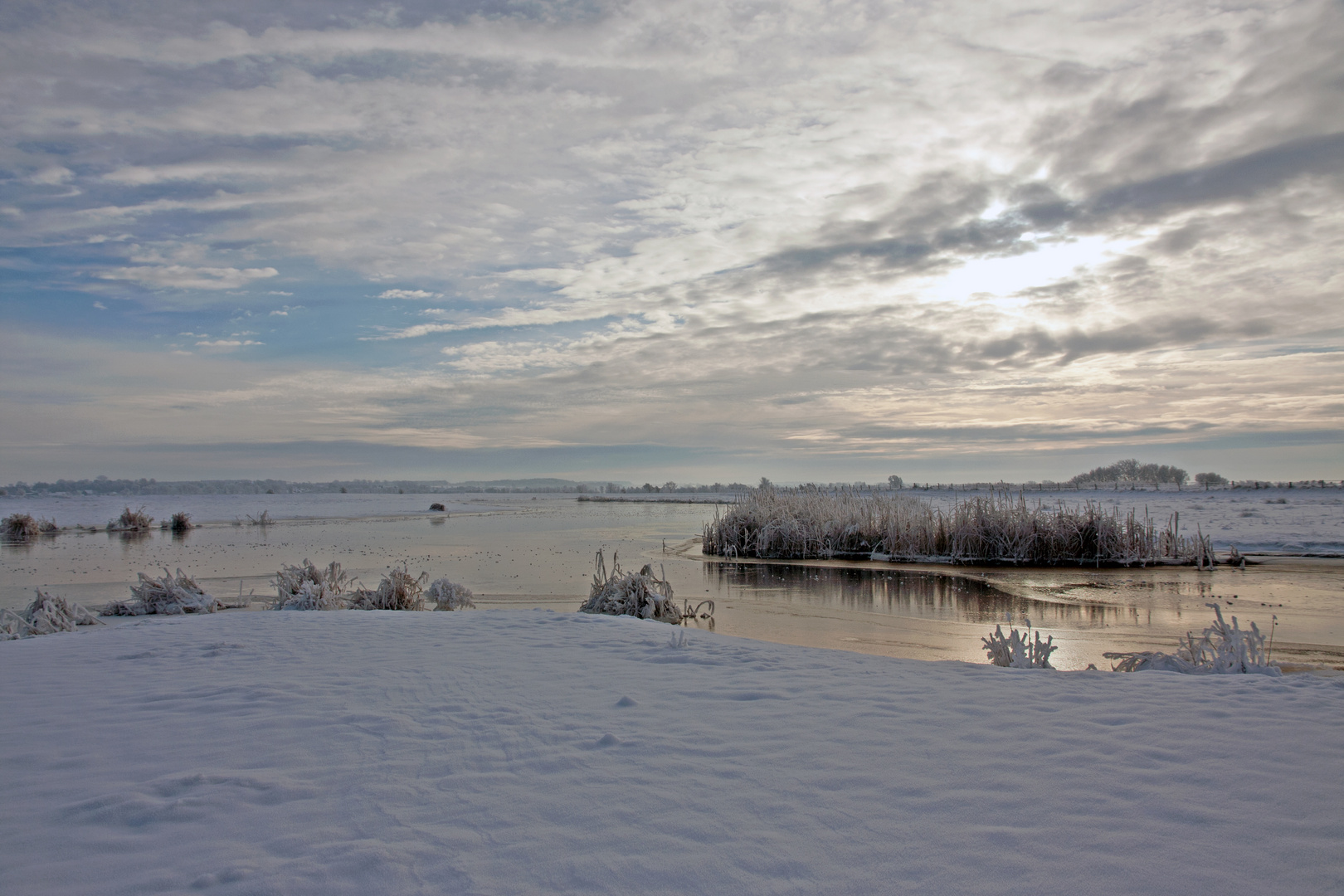 Winter an der Treene II