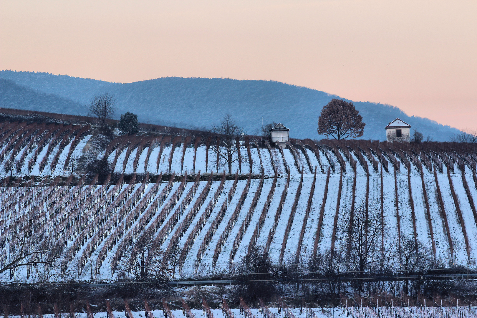 Winter an der Weinstrasse