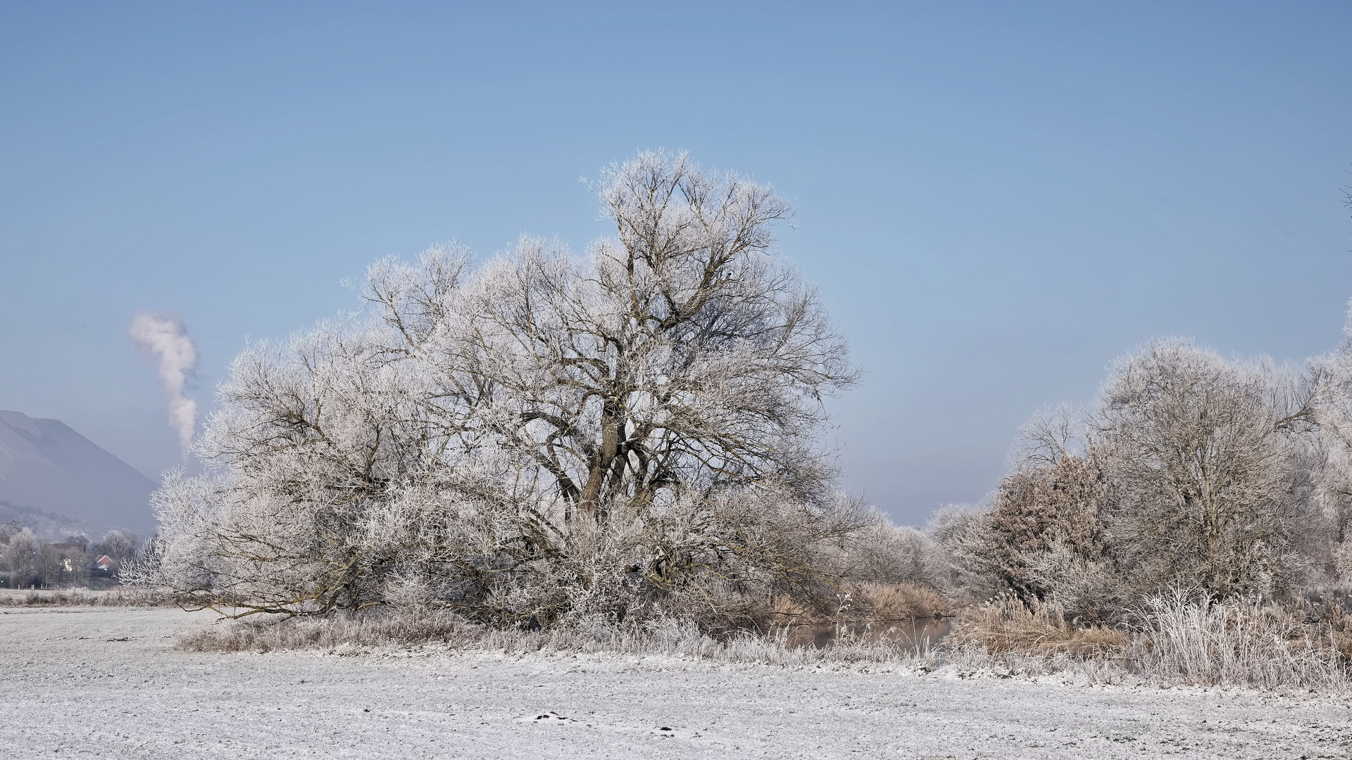 Winter an der Werra 