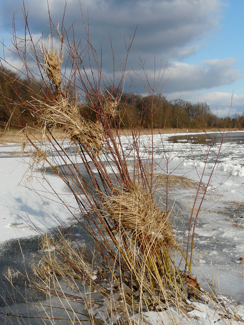 Winter an der Weser 2012