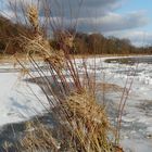 Winter an der Weser 2012