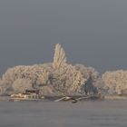 Winter an der Weser