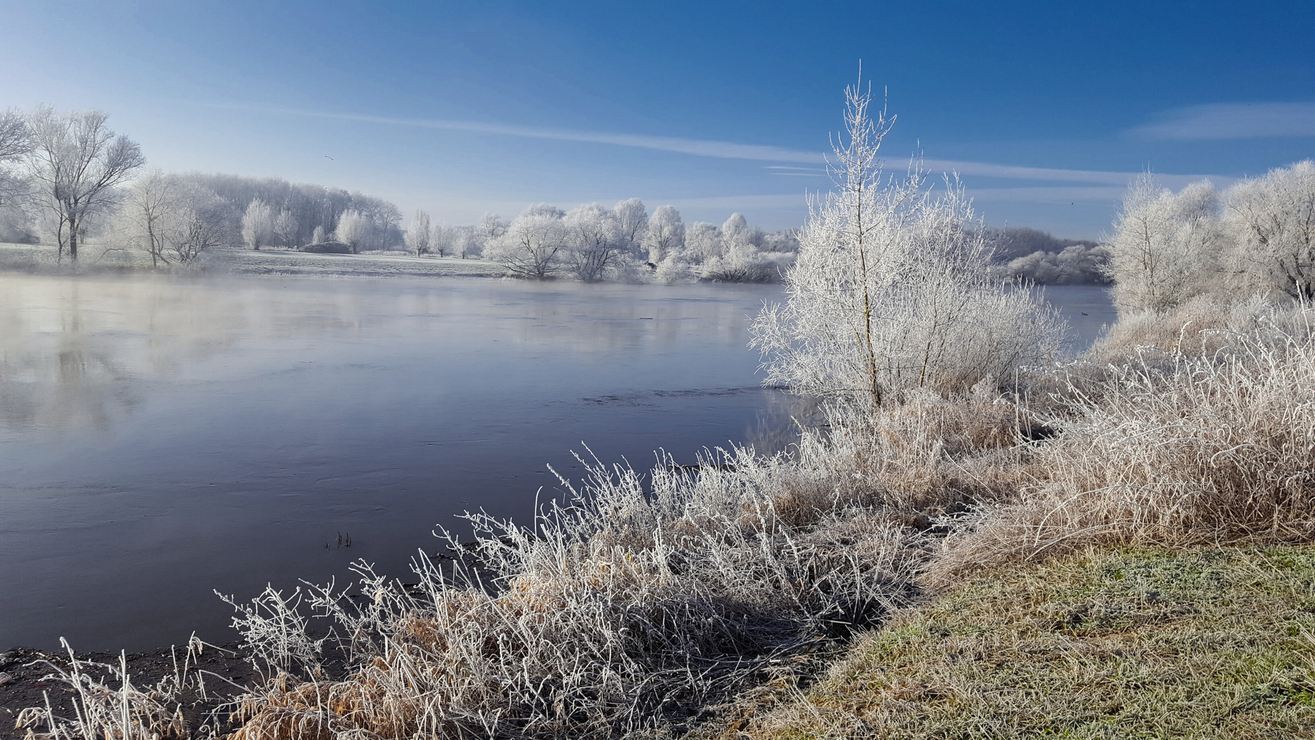 Winter an der Weser
