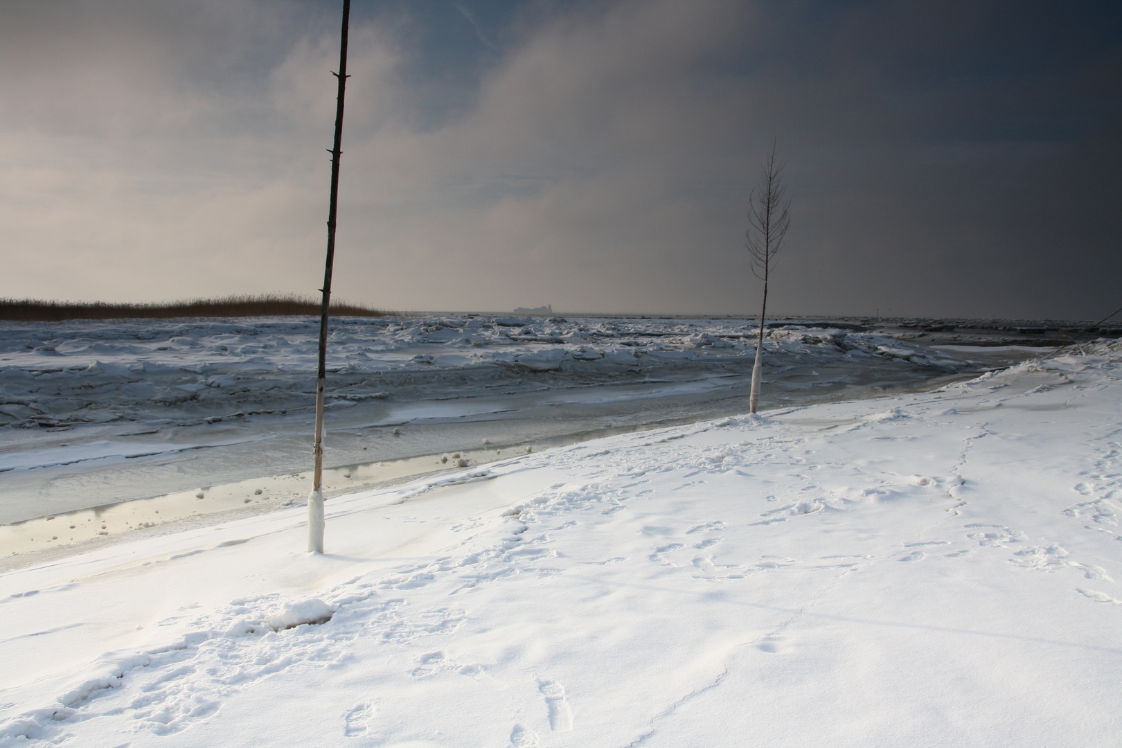 Winter an der Wesermündung I