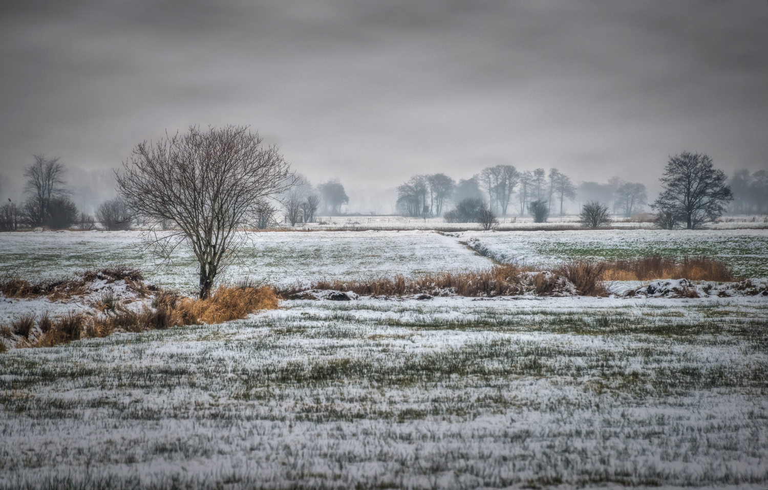 Winter an der Wümme  10