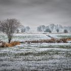 Winter an der Wümme  10