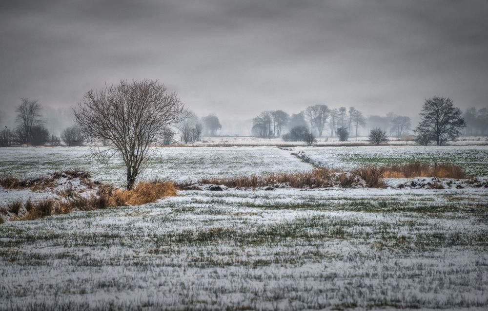 Winter an der Wümme  10