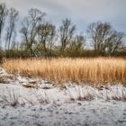 Winter an der Wümme 2