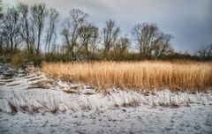 Winter an der Wümme 2