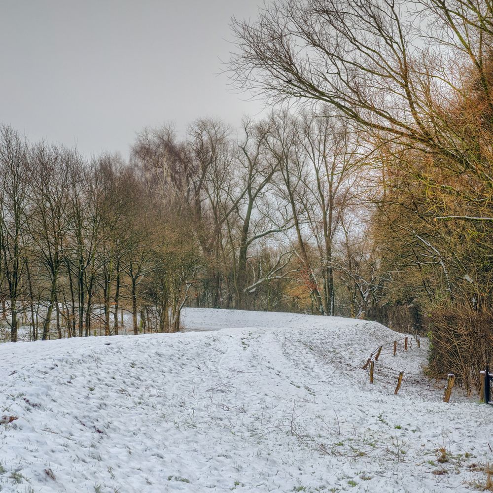 Winter an der Wümme 3