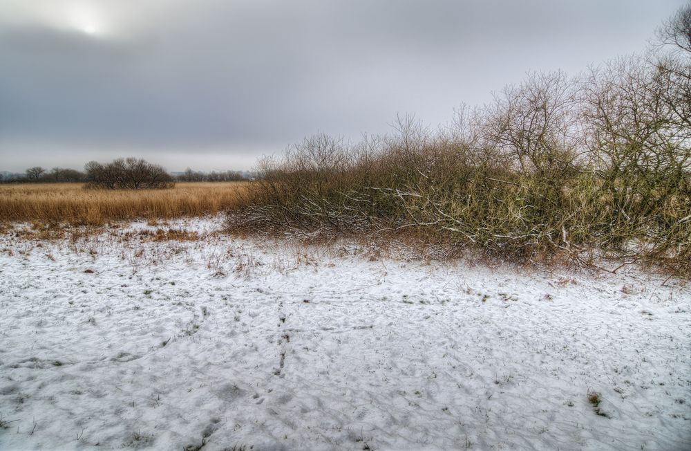 Winter an der Wümme 5