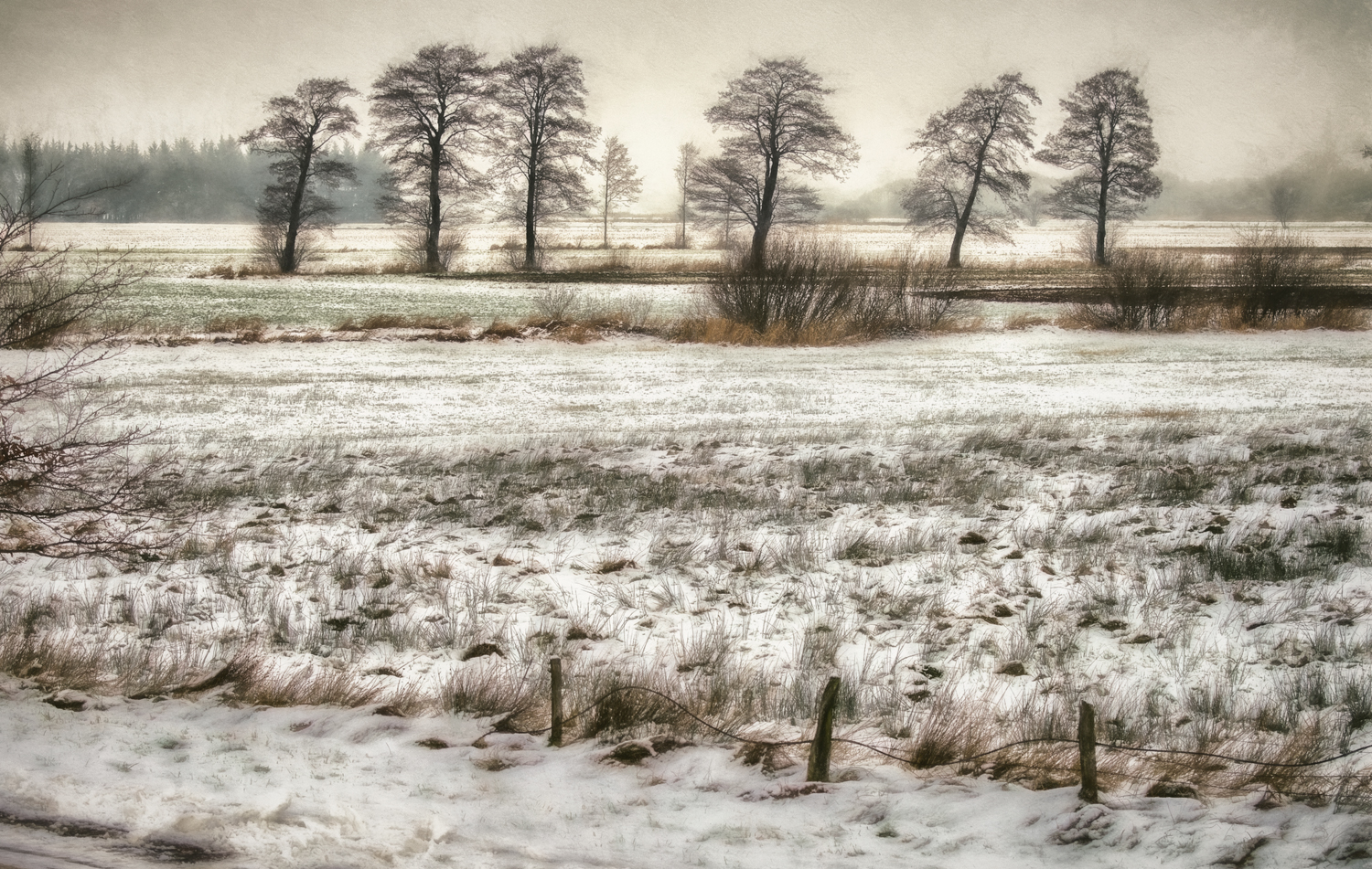 Winter an der Wümme  6