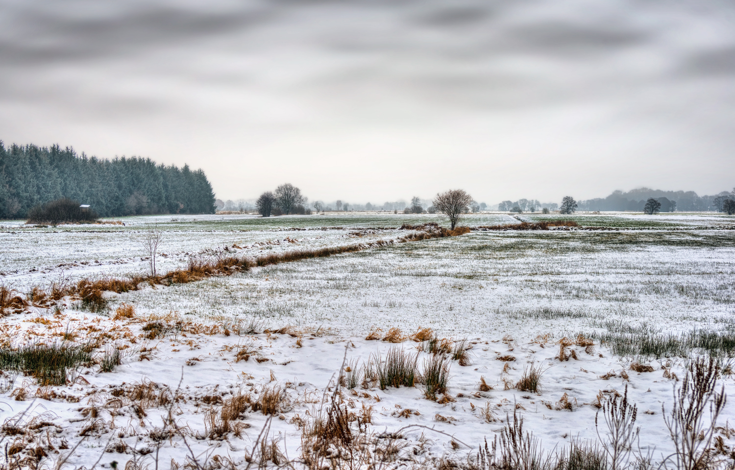 Winter an der Wümme  9