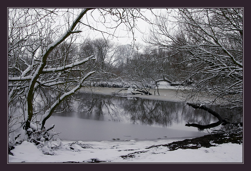 *** Winter an der Wümme III ***