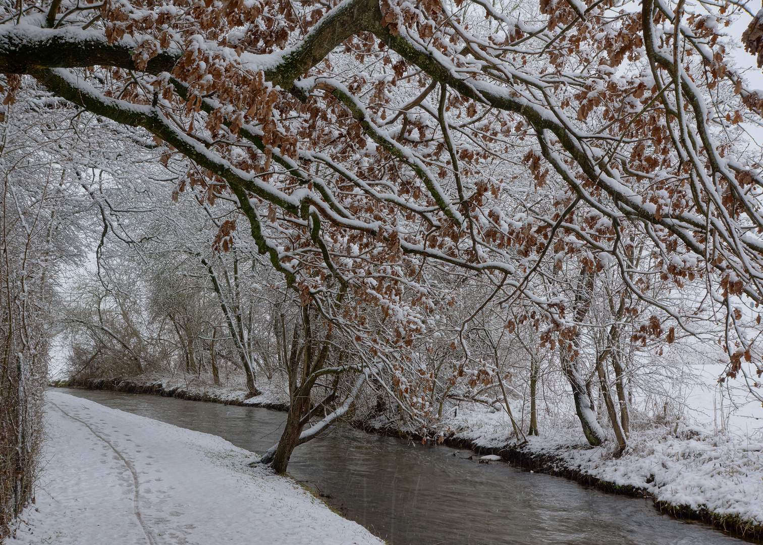 Winter an der Würm